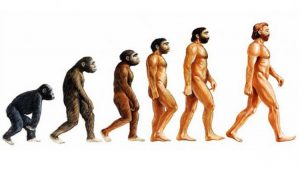 10 Amerikalıdan 4ü evrime inanmıyor